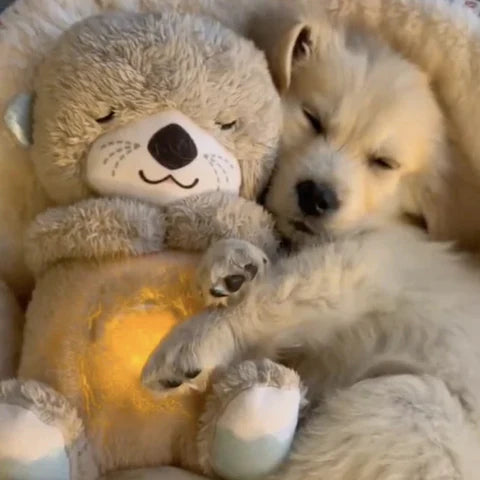 HarmonyHug™ Cuddle Otter