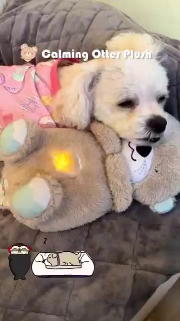 HarmonyHug™ Cuddle Otter