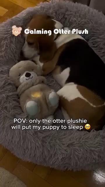 HarmonyHug™ Cuddle Otter
