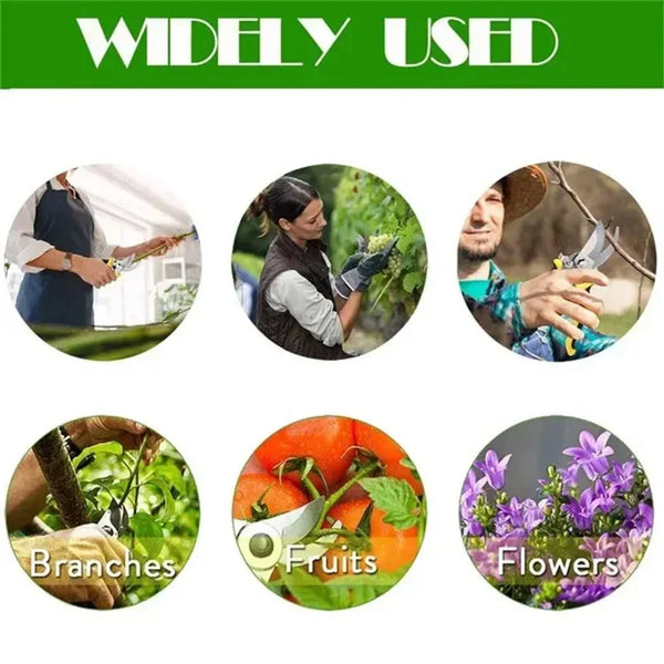 Magic Garden Clippers